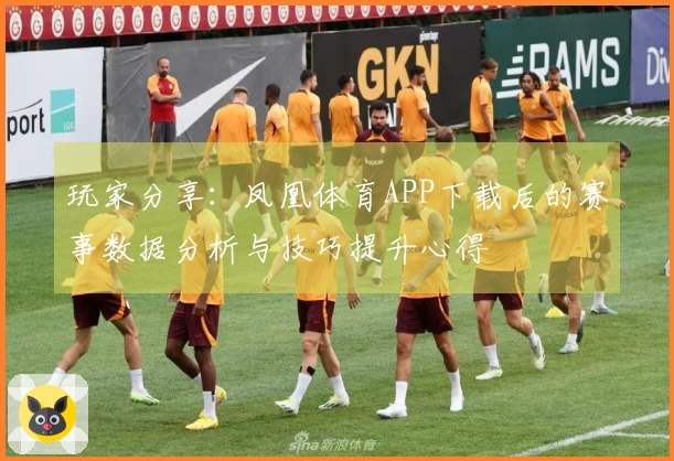 玩家分享：凤凰体育APP下载后的赛事数据分析与技巧提升心得