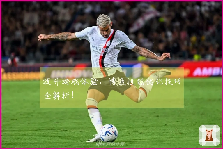 提升游戏体验，博鱼性能优化技巧全解析！